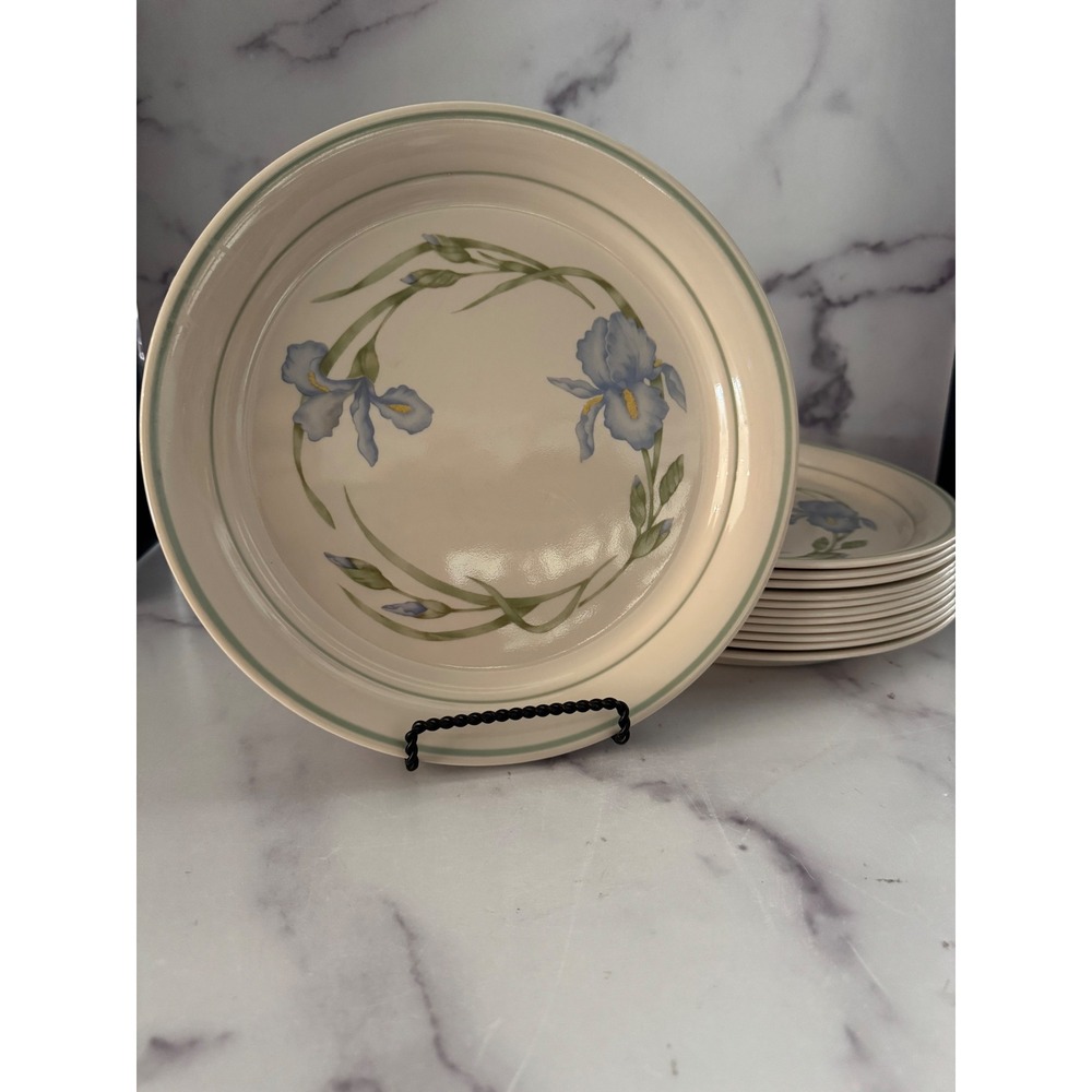 Set of 12 Cornerstone by Corning Blue Iris Dinner Plates 10.25" Stoneware USA